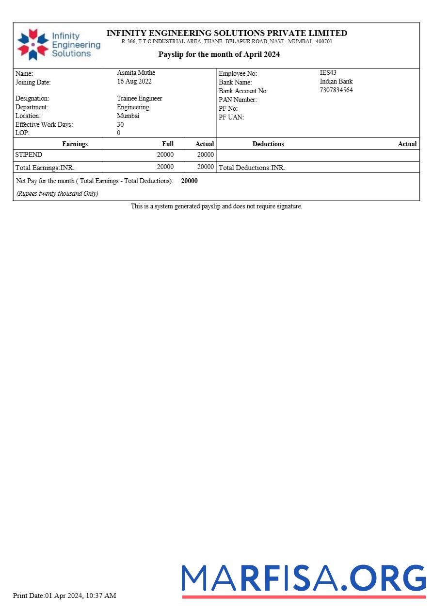 Printable Infinity Engineering Solutions payslip example